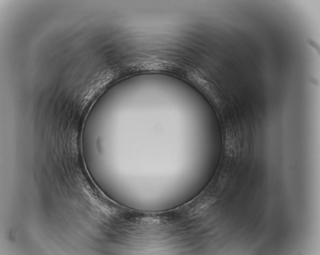 X0000100380394200806201655