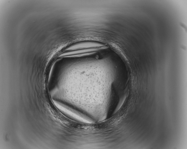 X0000100380395200806201655