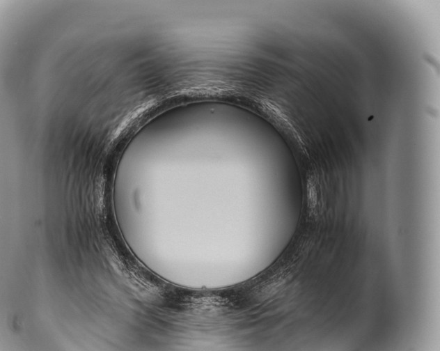 X0000100380396200806201655