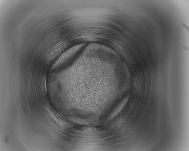X0000100380398200806201655