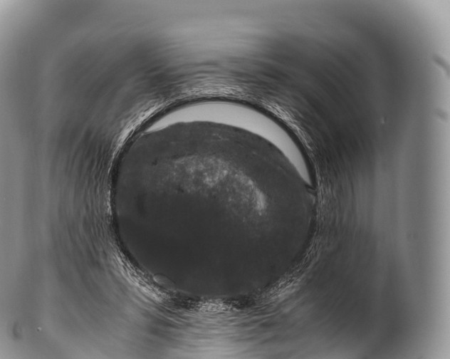 X0000100380399200806201655