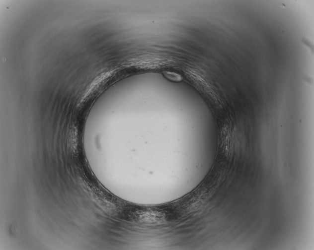 X0000100380400200806201655
