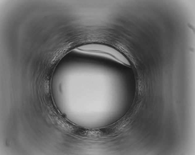 X0000100380401200806201655