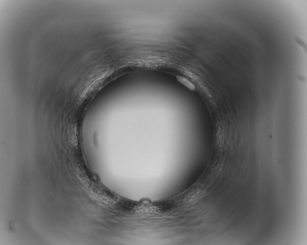 X0000100380403200806201655