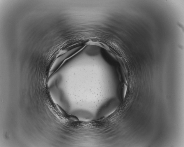 X0000100380405200806201655