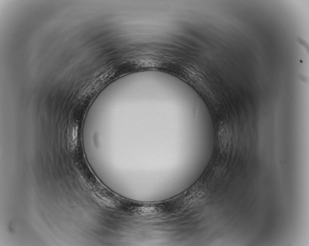 X0000100380406200806201655