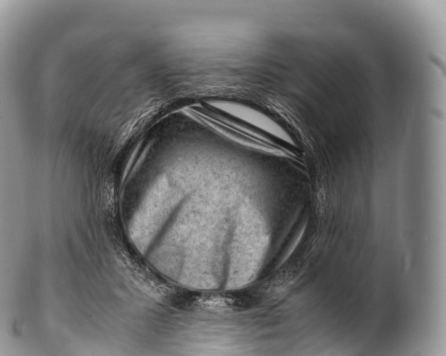 X0000100380407200806201655