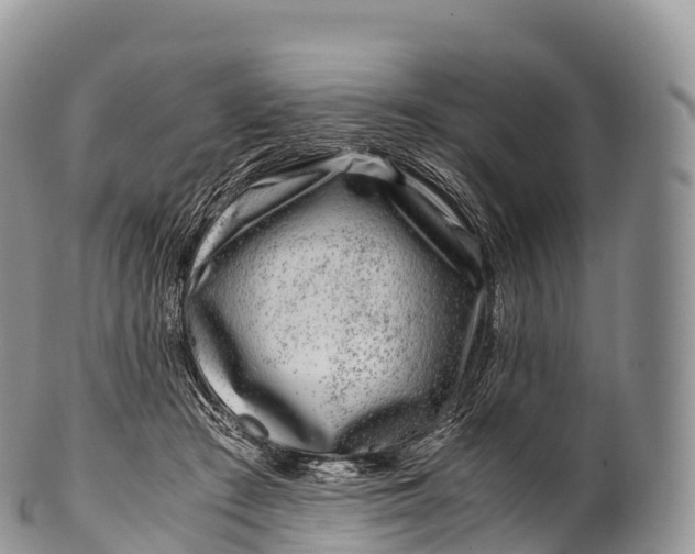 X0000100380409200806201655