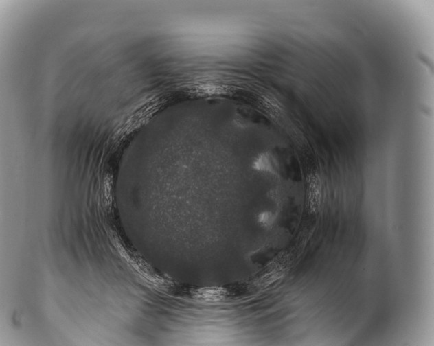 X0000100380410200806201655
