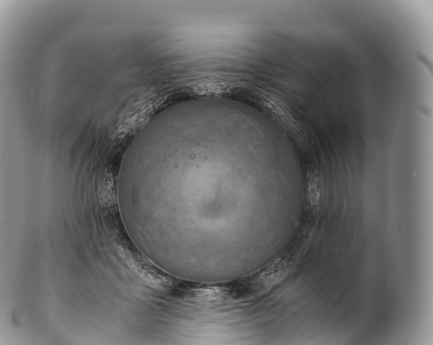 X0000100380411200806201655