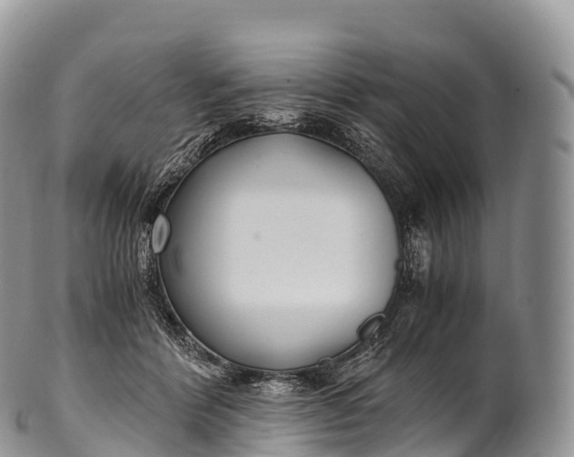 X0000100380412200806201655