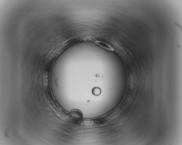X0000100380413200806201655