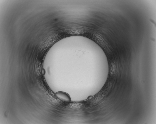 X0000100380414200806201655