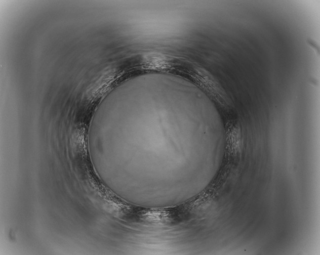 X0000100380415200806201655