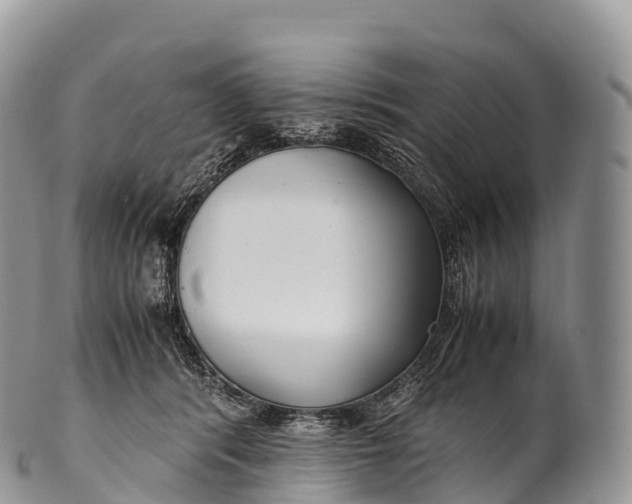 X0000100380416200806201655