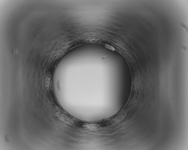 X0000100380417200806201655