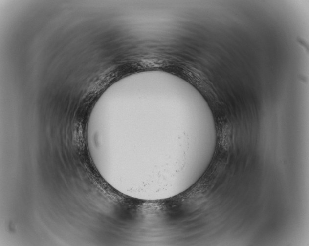 X0000100380418200806201655
