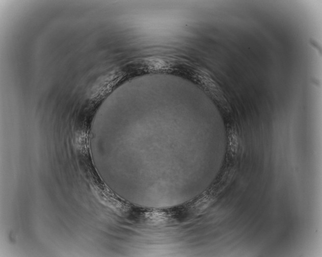 X0000100380419200806201655