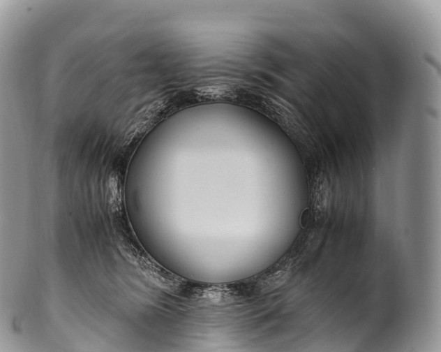 X0000100380420200806201655
