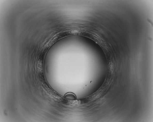 X0000100380421200806201655