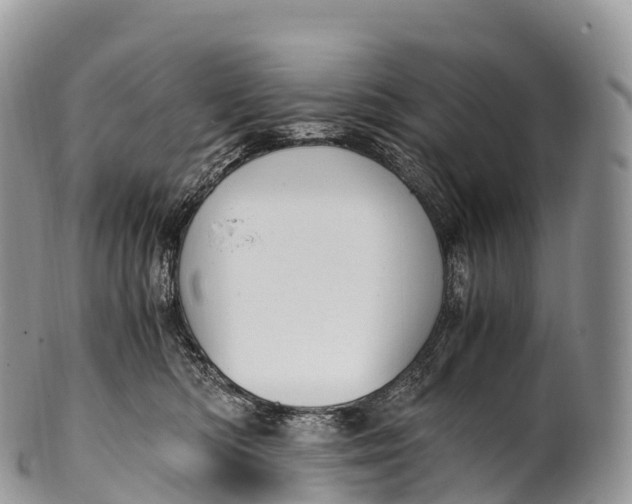 X0000100380422200806201655
