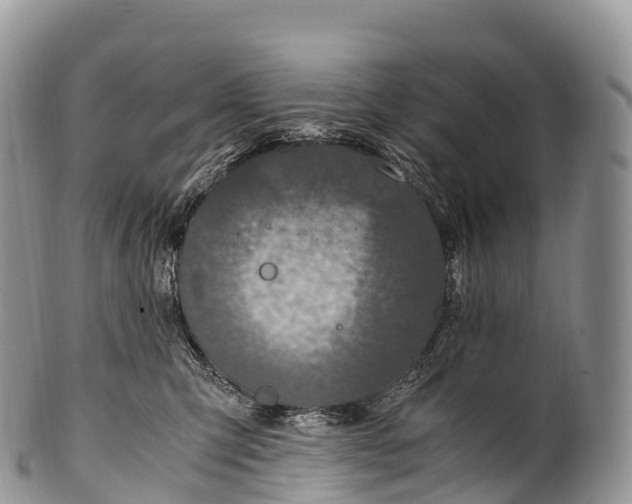 X0000100380423200806201655