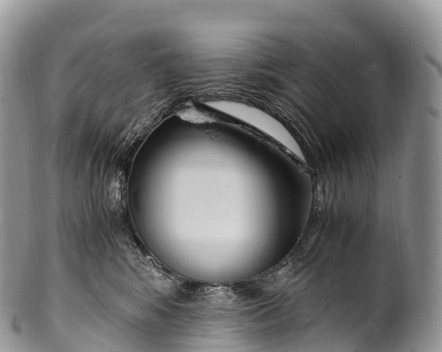 X0000100380424200806201655