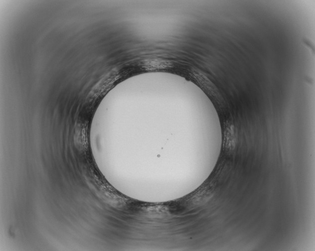 X0000100380426200806201654