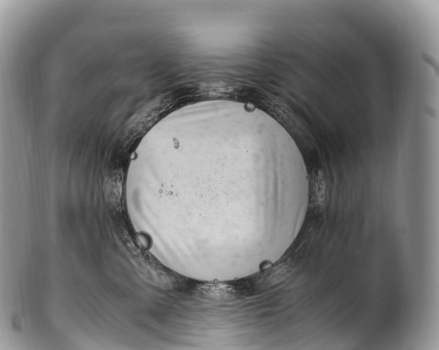 X0000100380427200806201654