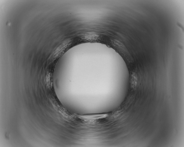 X0000100380428200806201654