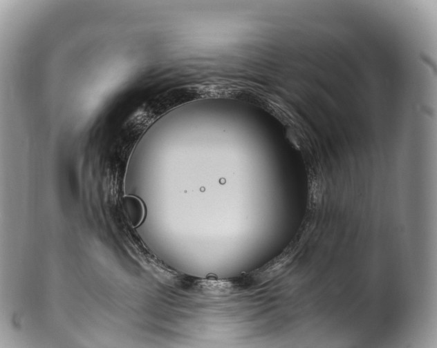 X0000100380429200806201654