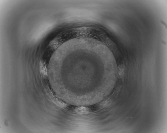 X0000100380431200806201654
