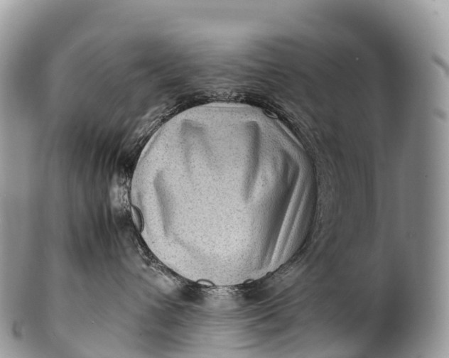 X0000100380432200806201654