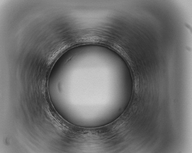 X0000100380434200806201654