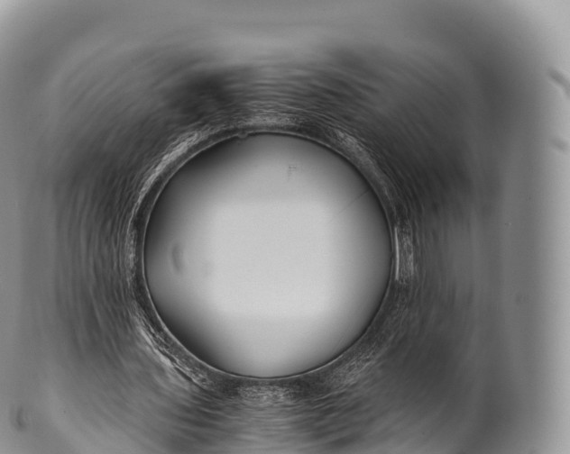 X0000100380435200806201654