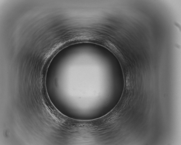 X0000100380436200806201654