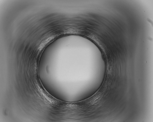 X0000100380437200806201654