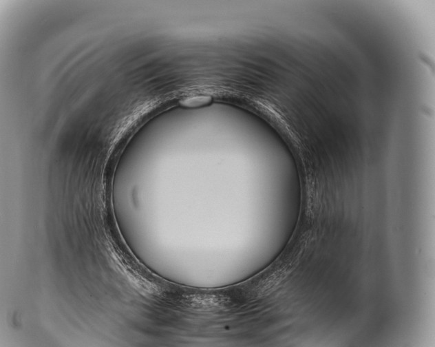 X0000100380439200806201654
