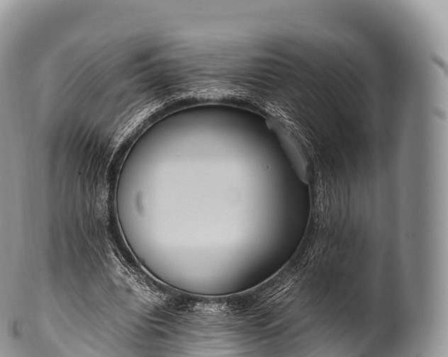 X0000100380440200806201654