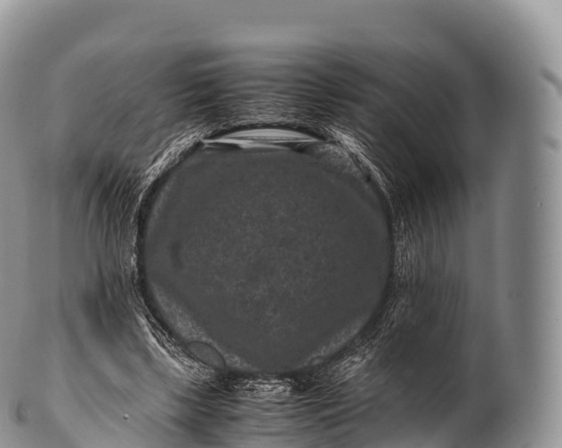X0000100380443200806201654