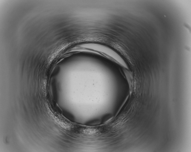 X0000100380444200806201654