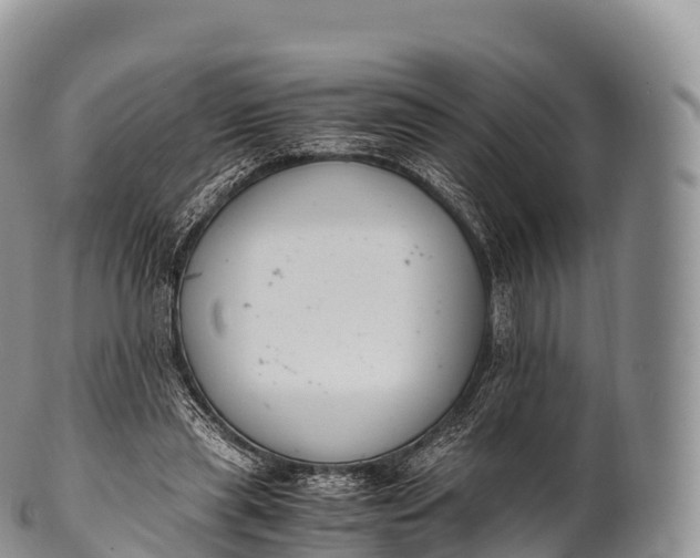 X0000100380445200806201654