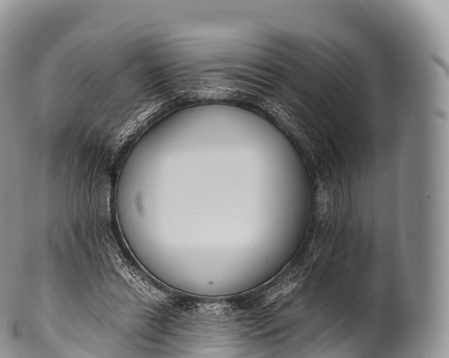 X0000100380446200806201654