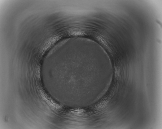 X0000100380447200806201654