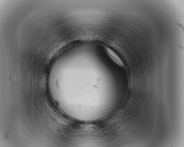X0000100380448200806201654