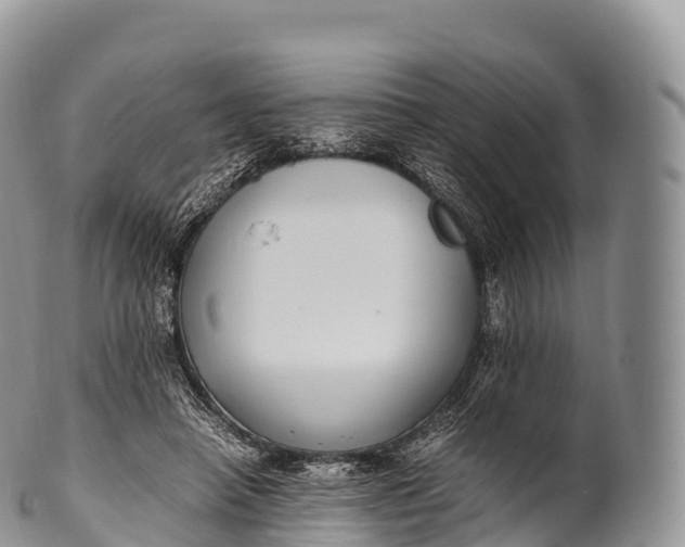 X0000100380450200806201654