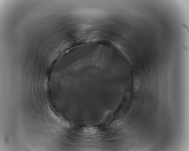 X0000100380451200806201654