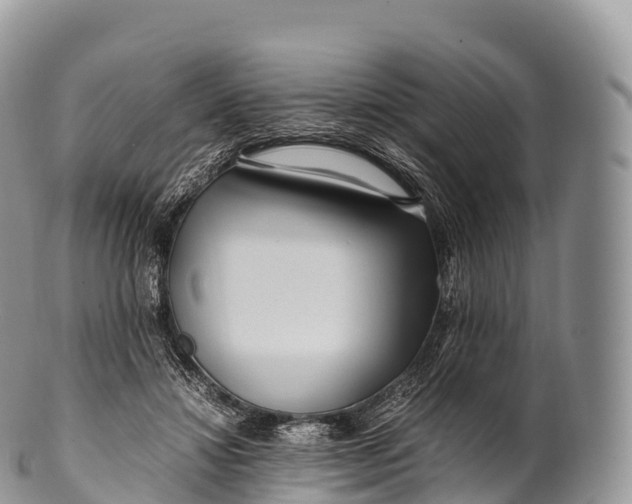 X0000100380452200806201654