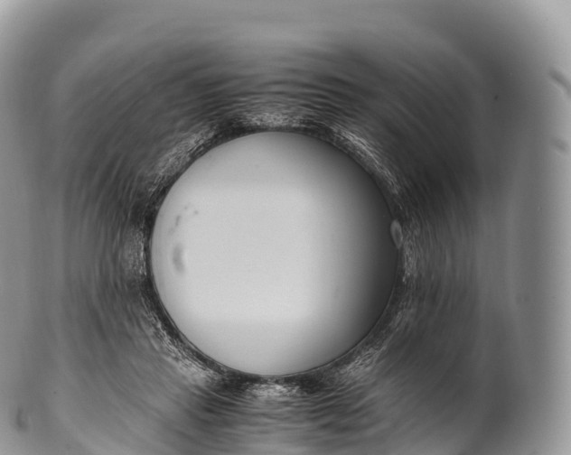 X0000100380453200806201654