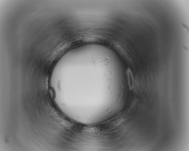 X0000100380454200806201654